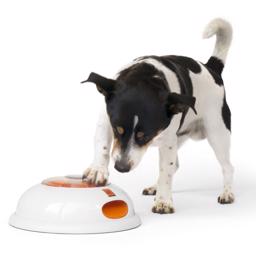 Pulse Northmate aktiveringsleksaker för hund